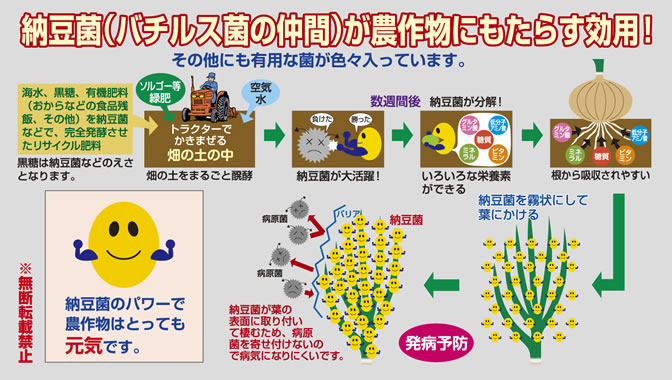 兵庫県認定食品、金色のプレミアム玉ねぎ